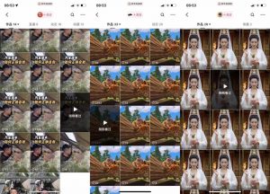 狗熊岭快手连怼技术，好物，涨粉都可以连怼-木石资源网