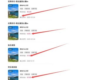 磁力聚星游戏副业陪跑训练营1.0,长期稳定项目,有人一周干了1K+-木石资源网