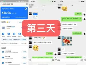 货币掘金项目,3天卖了2720!新项目内测组【限10人】-木石资源网