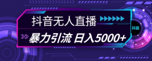 抖音快手视频号全平台通用无人直播引流法,利用图片模板和语音话术,暴力日引流100+创业粉【揭秘】-木石资源网