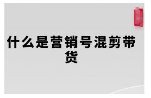 营销号混剪带货，从内容创作到流量变现的全流程，教你用营销号形式做混剪带货-木石资源网