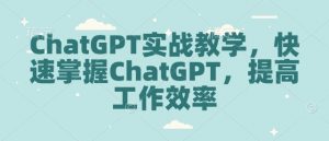 ChatGPT实战教学,快速掌握ChatGPT,提高工作效率-木石资源网
