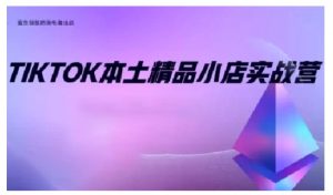 TikTok本土精品小店出海实战营，从入门到高阶，不止0-1!-木石资源网