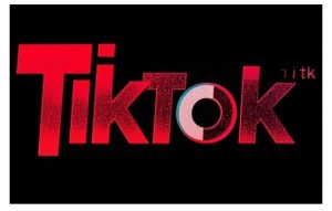 TikTok ads投流秘籍,涵盖tiktok整体投放思路,教你搭建测试计划-木石资源网