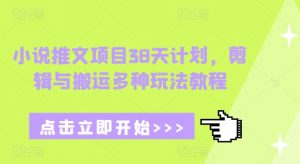 小说推文项目38天计划，剪辑与搬运多种玩法教程-木石资源网