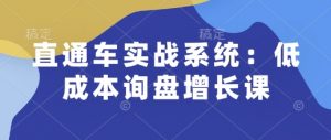 直通车实战系统:低成本询盘增长课,让个人通过技能实现升职加薪,让企业低成本获客,订单源源不断-木石资源网