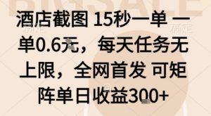 酒店截图15秒一单，一单0.6米，每天任务无上限，全网首发可矩阵单日收益3张【揭秘】-木石资源网