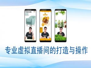 个人虚拟直播间的搭建与操作，专业虚拟直播间的打造与操作-木石资源网