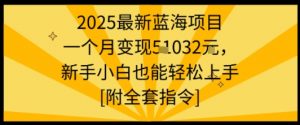 2025最新蓝海项目一个月变现1w+新手小白也能轻松上手【附全套指令】-木石资源网