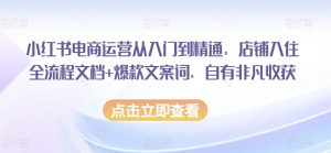 小红书电商运营从入门到精通,店铺入住全流程文档+爆款文案词,自有非凡收获-木石资源网