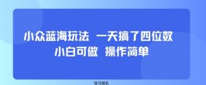 小众蓝海玩法 一天搞了四位数 小白可做 操作简单-木石资源网