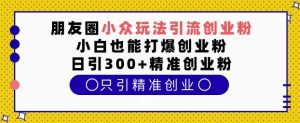 朋友圈小众玩法引流创业粉,小白也能打爆创业粉,日引300+精准创业粉【揭秘】-木石资源网