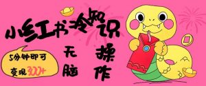 小红书冷知识账号，无脑复制粘贴，5分钟即可变现3张-木石资源网