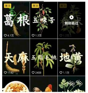 抖音中草药赛道,用AI做中草药故事视频,45条作品涨粉13W,橱窗带货猛猛出单-木石资源网