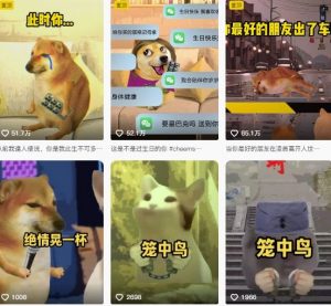 狗头幸运星UE5动画全套课程,从入门到实操全掌握-木石资源网