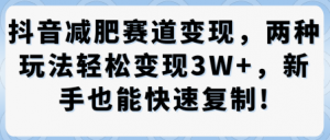 抖音减肥赛道变现,两种玩法轻松变现3W+,新手也能快速复制-木石资源网