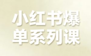 小红书爆单系列课,聚焦小红书电商全链路增长-木石资源网