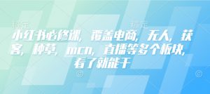 小红书必修课,覆盖电商,无人,获客,种草,mcn,直播等多个板块,看了就能干-木石资源网