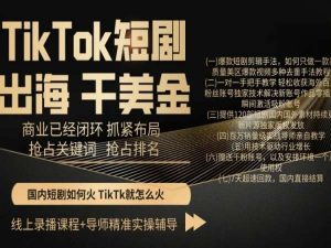 TikTok短剧出海干美金,商业已经闭环抓紧布局,抢占关键词抢占排名-木石资源网