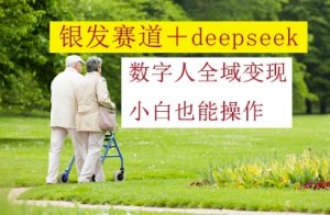 银发赛道+deepseek数字人全域变现,小白也能操作-木石资源网