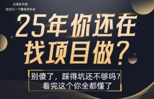 25年,你还在疯狂的找项目吗?别傻了,看完这个你都懂了【揭秘】-木石资源网