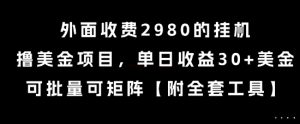 外面收费2980的挂G撸美金项目,单日收益30+美金,可批量可矩阵【揭秘】-木石资源网