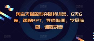 淘宝天猫盈利突破特训营,6天6夜,课程PPT,导师脑图,学员脑图,课程录音-木石资源网