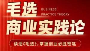 毛选商业实践论，读透《毛选》掌握创业必胜密匙-木石资源网