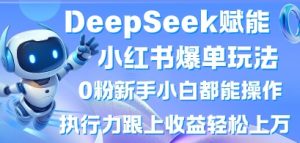 DeepSeek赋能小红书爆单玩法0粉新手小白都能操作,执行力跟上收益轻松上W,懒人勿做-木石资源网