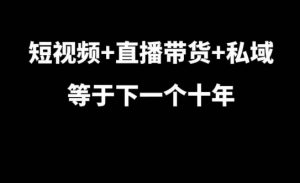 短视频+直播带货+私域等于下一个十年,大佬7年实战经验总结-木石资源网