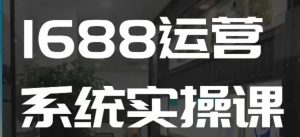 1688高阶运营系统实操课，快速掌握1688店铺运营的核心玩法-木石资源网