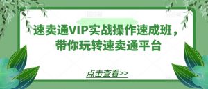 速卖通VIP实战操作速成班，带你玩转速卖通平台-木石资源网