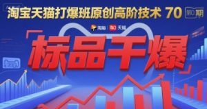 淘宝天猫打爆班原创高阶技术第70期:标品干爆-木石资源网