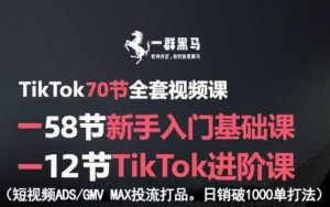 TikTok全套视频课,新手入门+进阶课,短视频ADS-GMV MAX投流打品,日销破1000单打法-木石资源网