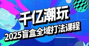 2025盲盒全域全套打法课,盲盒起号、选品、话术、私域等-木石资源网