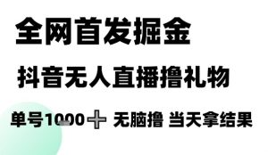 全网首发掘金抖音无人直播撸礼物，单号1k +无脑撸，当天拿结果【揭秘】-木石资源网