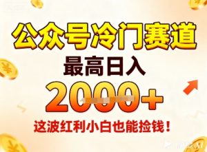 公众号冷门赛道，最高日入1k+，这波红利小白也能捡钱！-木石资源网