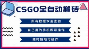 CSGO全自动搬砖，年底钱回家好项目，当天可拿到结果，新手小白轻松月入1W+【揭秘】-木石资源网