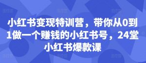 小红书变现特训营,带你从0到1做一个赚钱的小红书号,24堂小红书爆款课-木石资源网