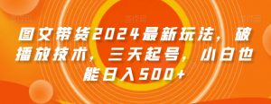 图文带货2024最新玩法，破播放技术，三天起号，小白也能日入500+【揭秘】-木石资源网