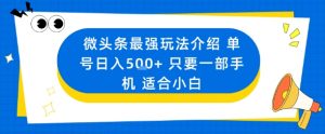 微头条最强玩法介绍一个号日入5张+只要一部手机适合小白-木石资源网
