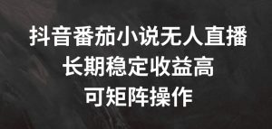 抖音番茄小说无人直播，长期稳定收益高，可矩阵操作【揭秘】-木石资源网