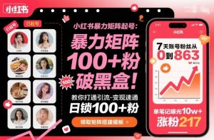 小红书暴力矩阵起号，教你打通引流-变现速通，日锁100+粉，破流量黑盒-木石资源网