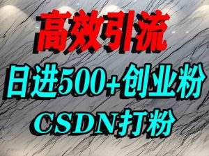 怎么打创业粉?CSDN又一个你不知道的打粉引流神秘平台,单人日引500+精准流量-木石资源网