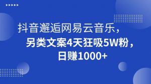 抖音邂逅网易云音乐，另类文案4天狂吸5W粉，日赚1000+【揭秘】-木石资源网