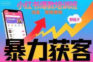 小红书爆款培训班，小红书获客野路子流量打法，暴力持续获客-木石资源网