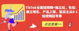 TikTok全案短视频+独立站，包括：建立域名、产品上架、能自主从0-1短视频起号等-木石资源网