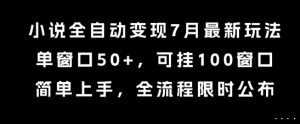 小说全自动变现7月玩法,单窗口50+,可挂100窗口,简单上手,全流程限时公布【揭秘】-木石资源网
