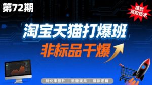 淘宝天猫打爆班原创高阶技术第72期,非标品干爆-木石资源网