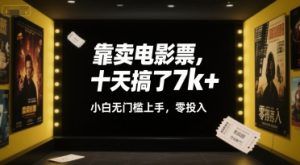 靠卖电影票，十天搞了7k+，小白无门槛上手，零投入【揭秘】-木石资源网